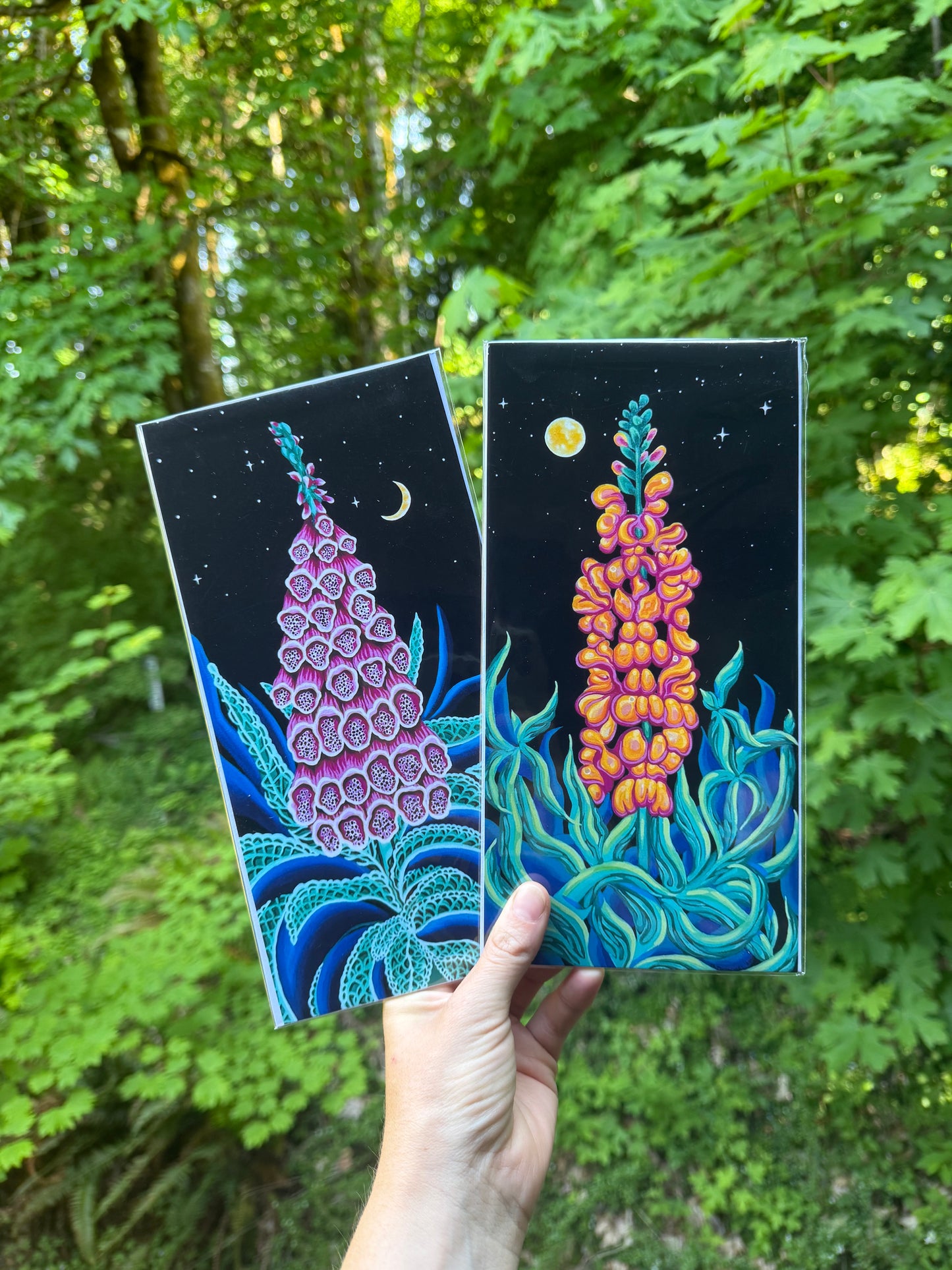 Snapdragon at Midnight Print