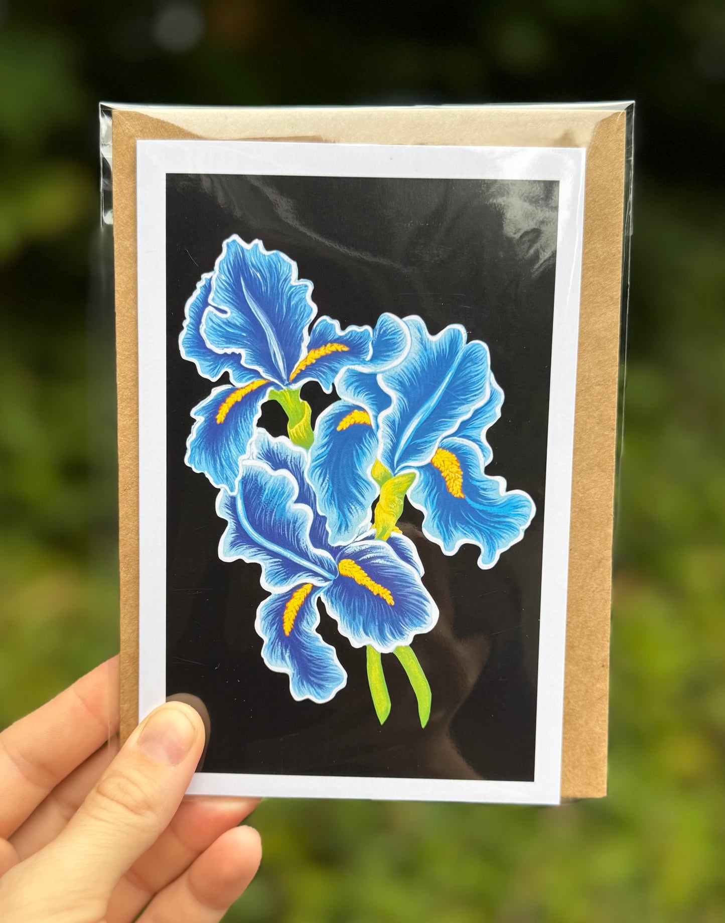 Irises on Black Card