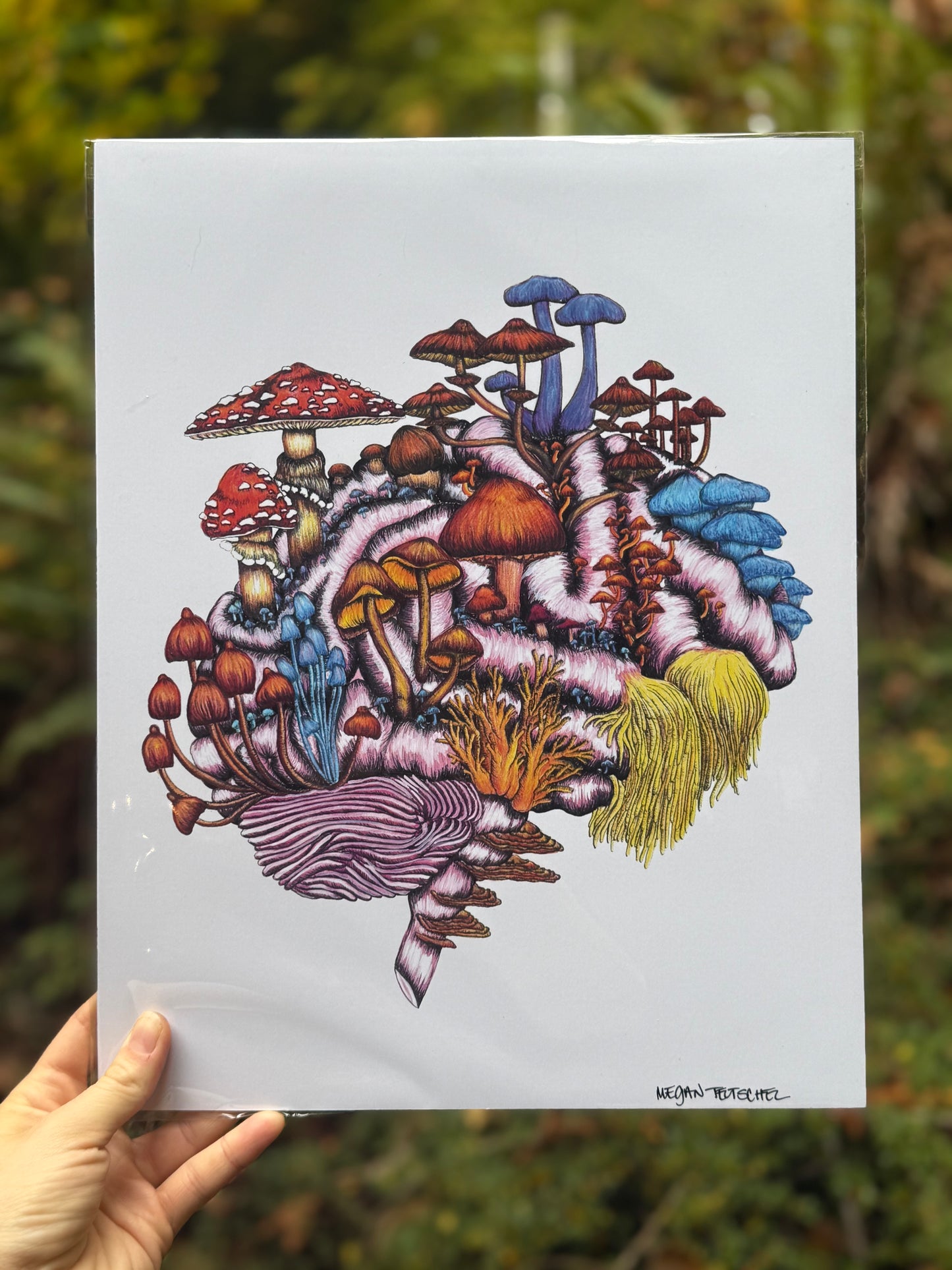 Mushroom Brain in Color Print
