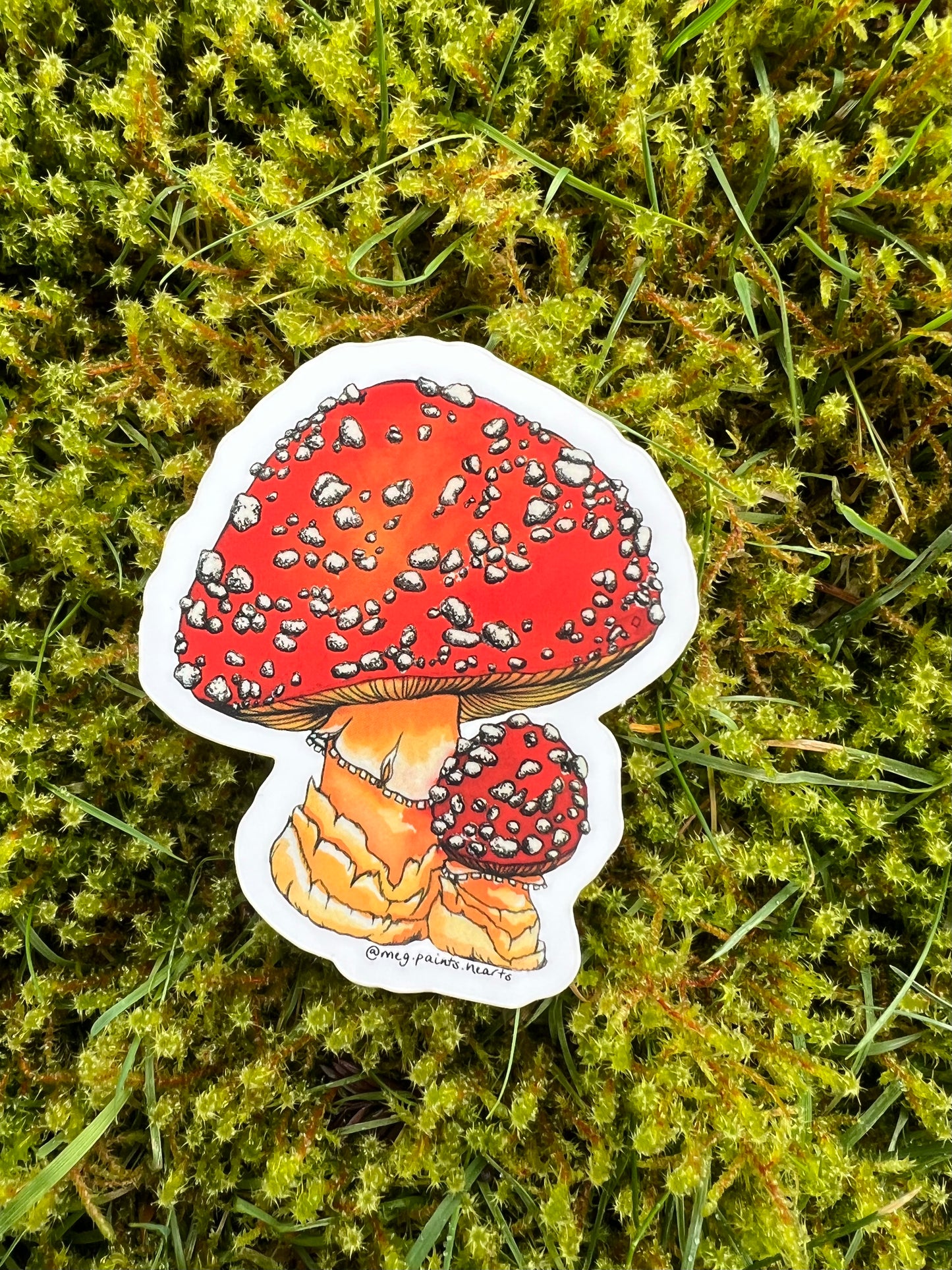 Amanita Muscaria Sticker
