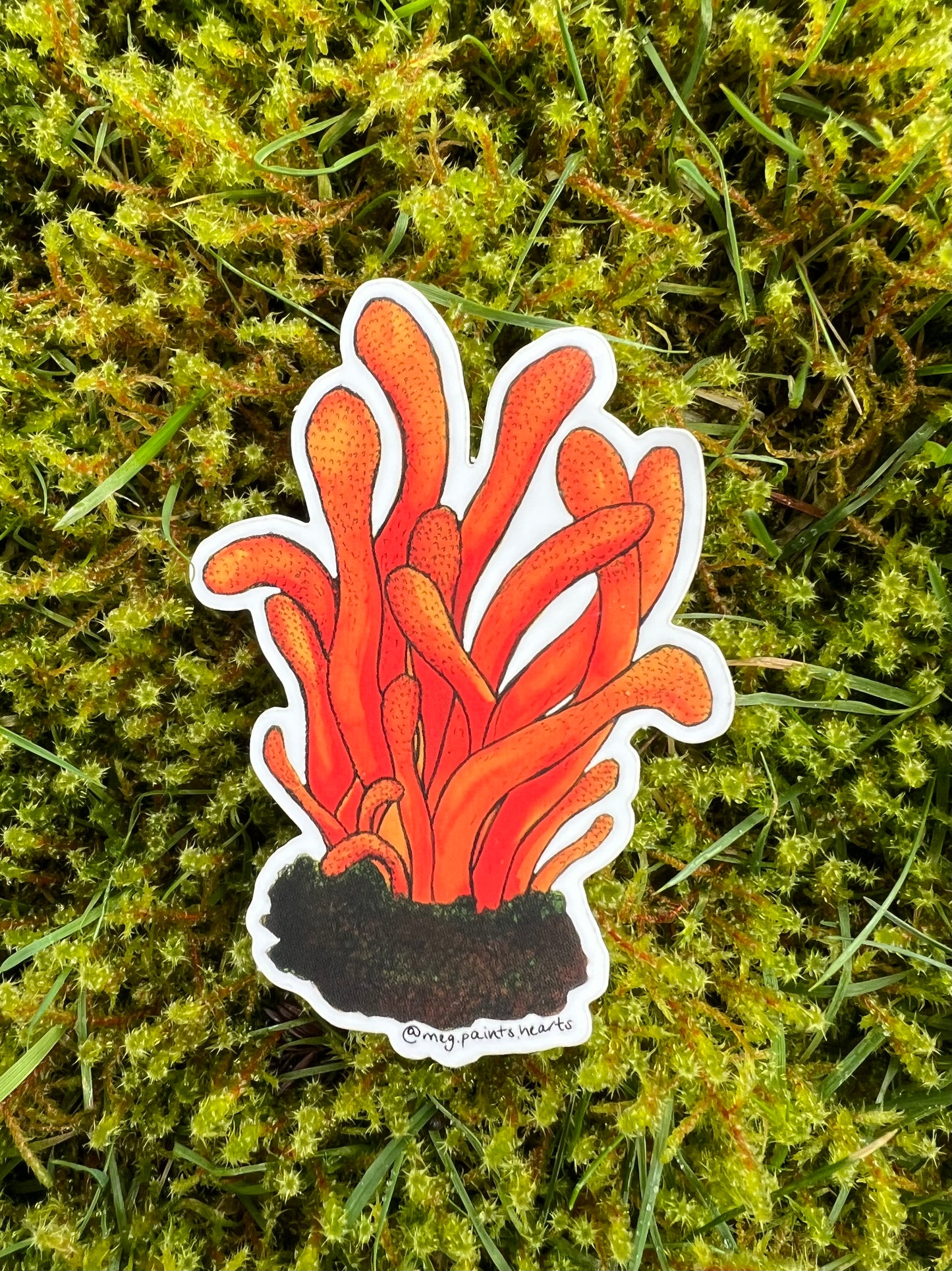 Cordyceps Fungus Sticker