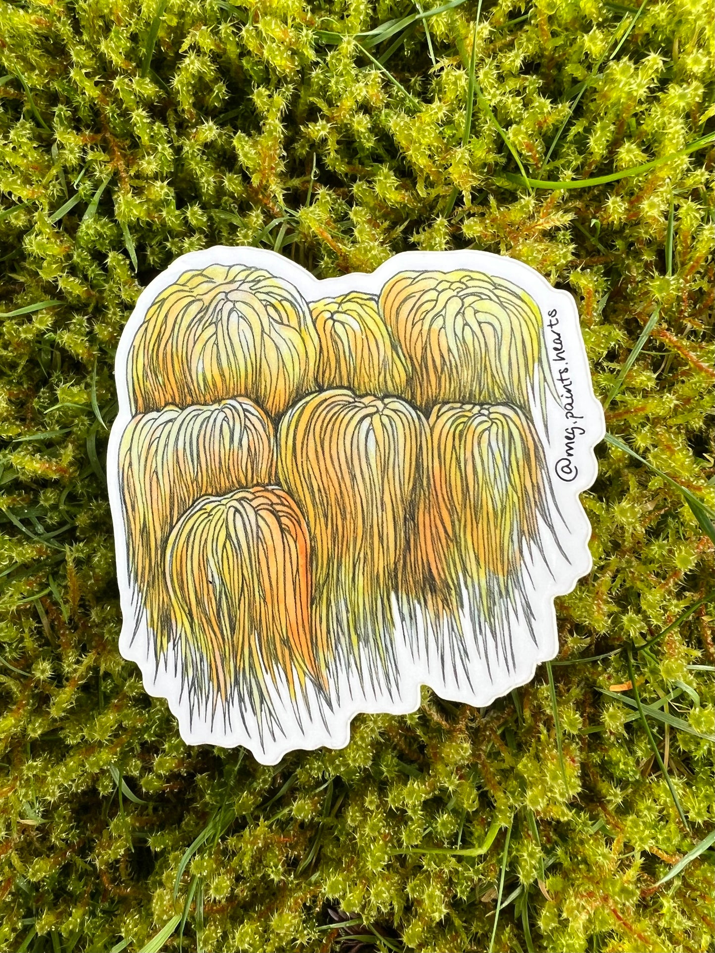 Lion's Mane Sticker