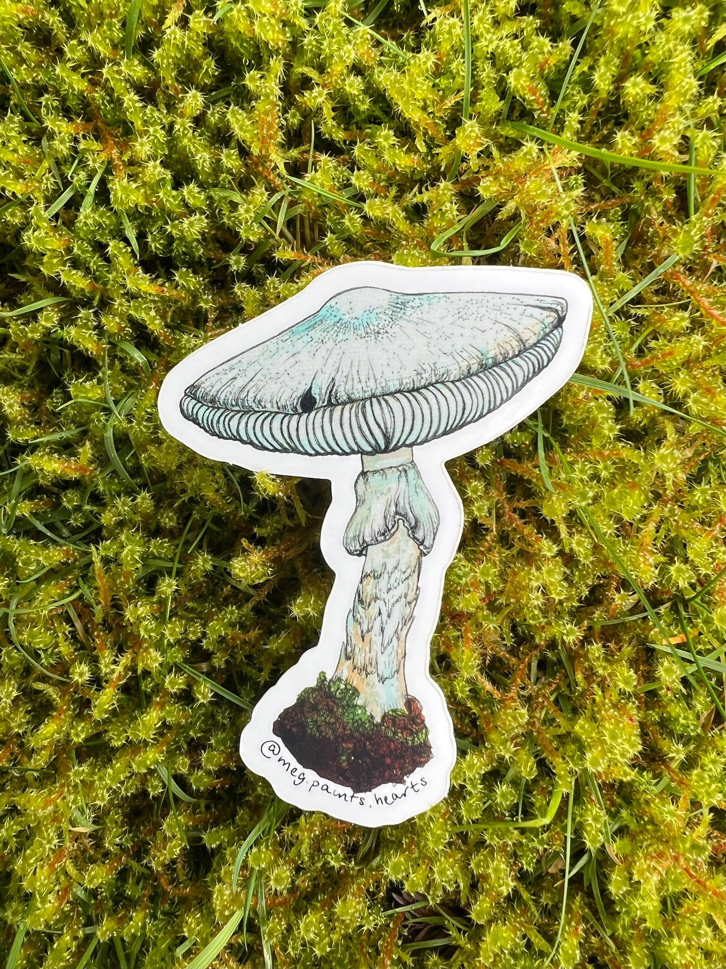 Destroying Angel Sticker