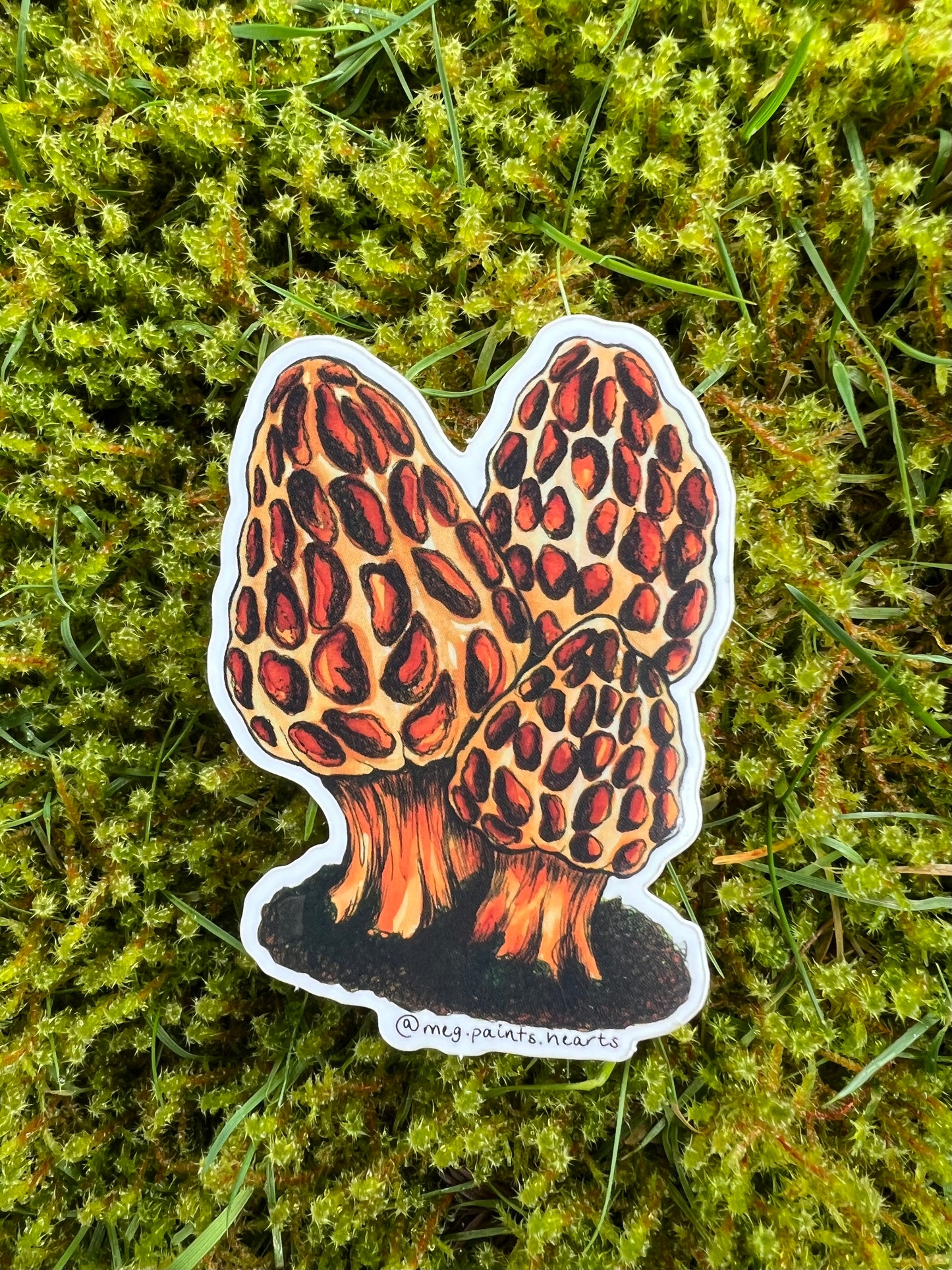 Morels Sticker