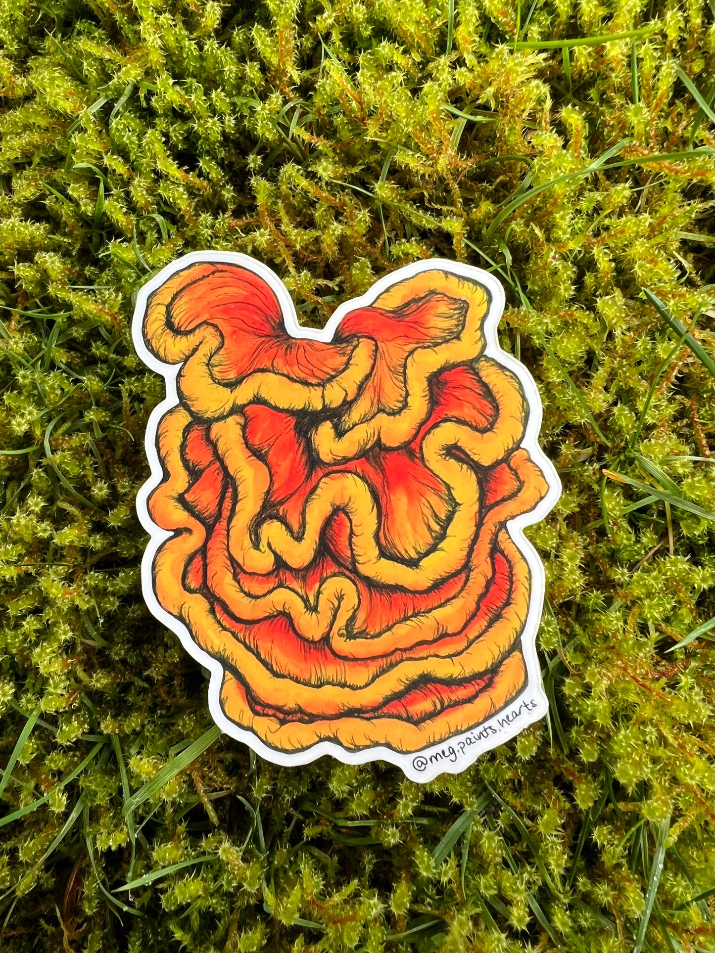 Chicken of the Woods Sticker