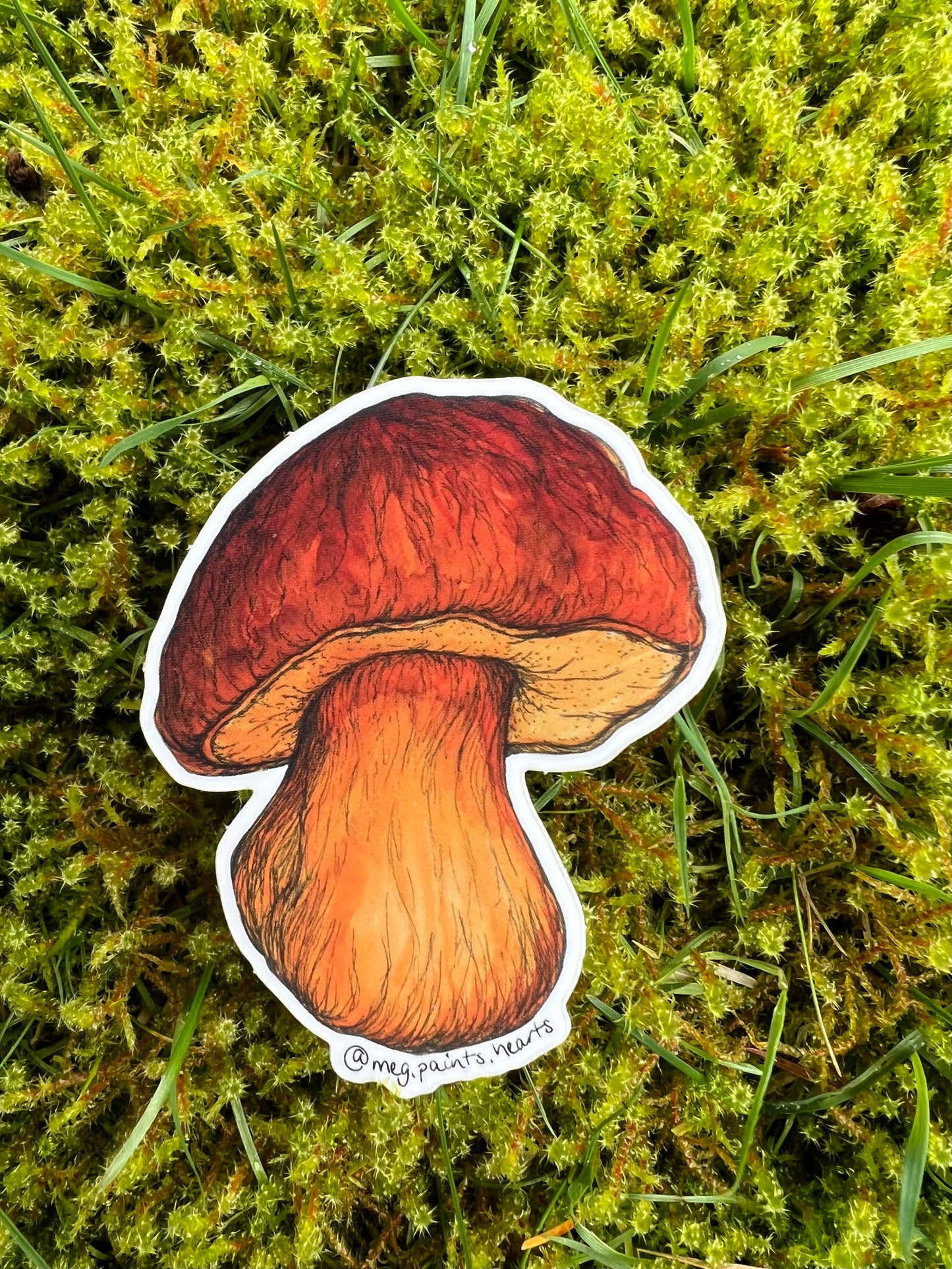 Bolete Sticker