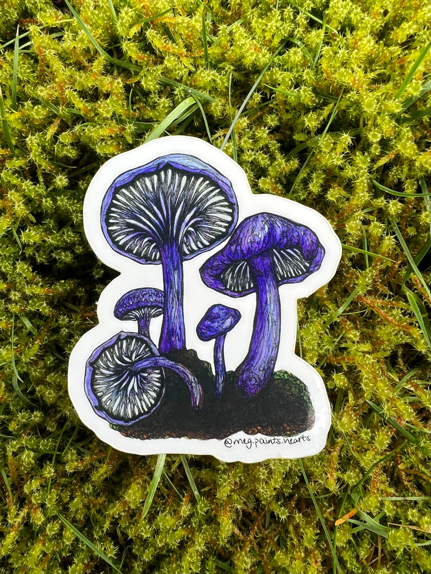 Amethyst Deceiver Sticker