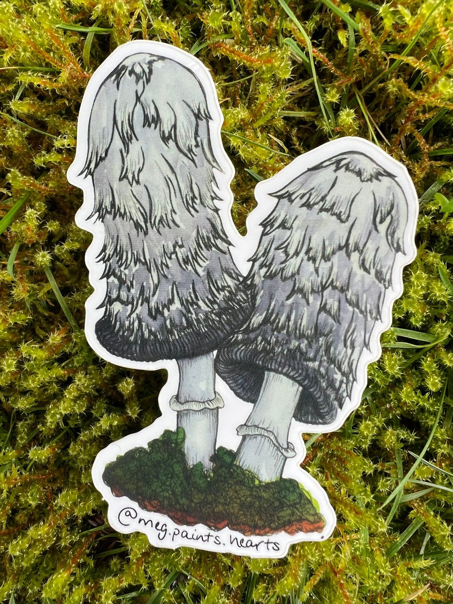 Shaggy Mane Sticker