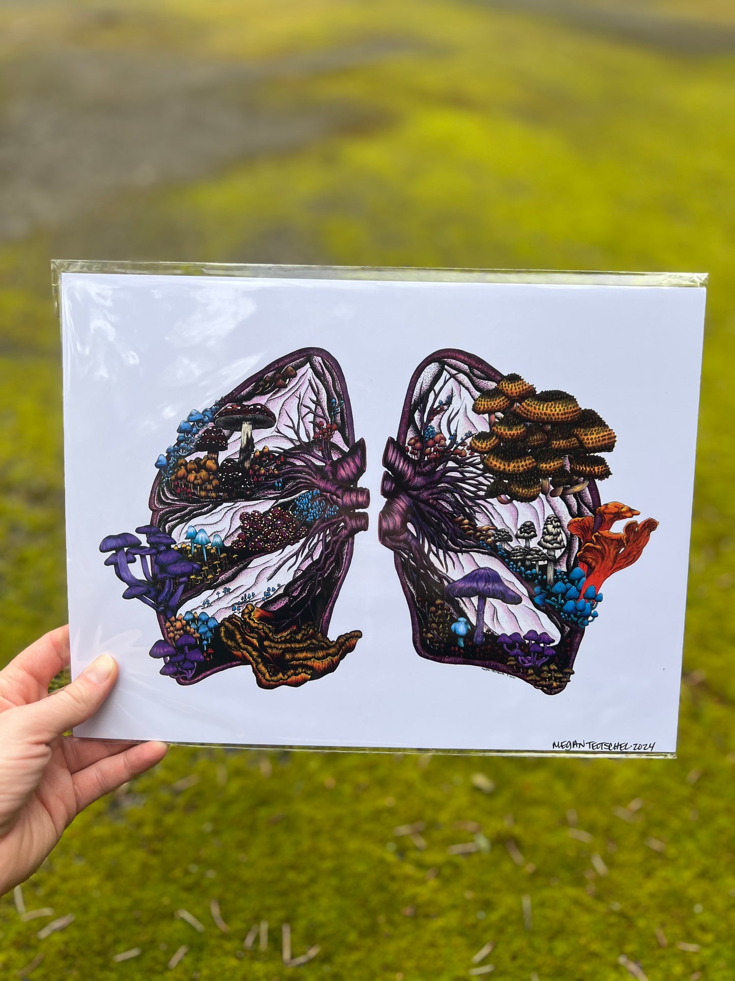Mushroom Lungs (Color) Print