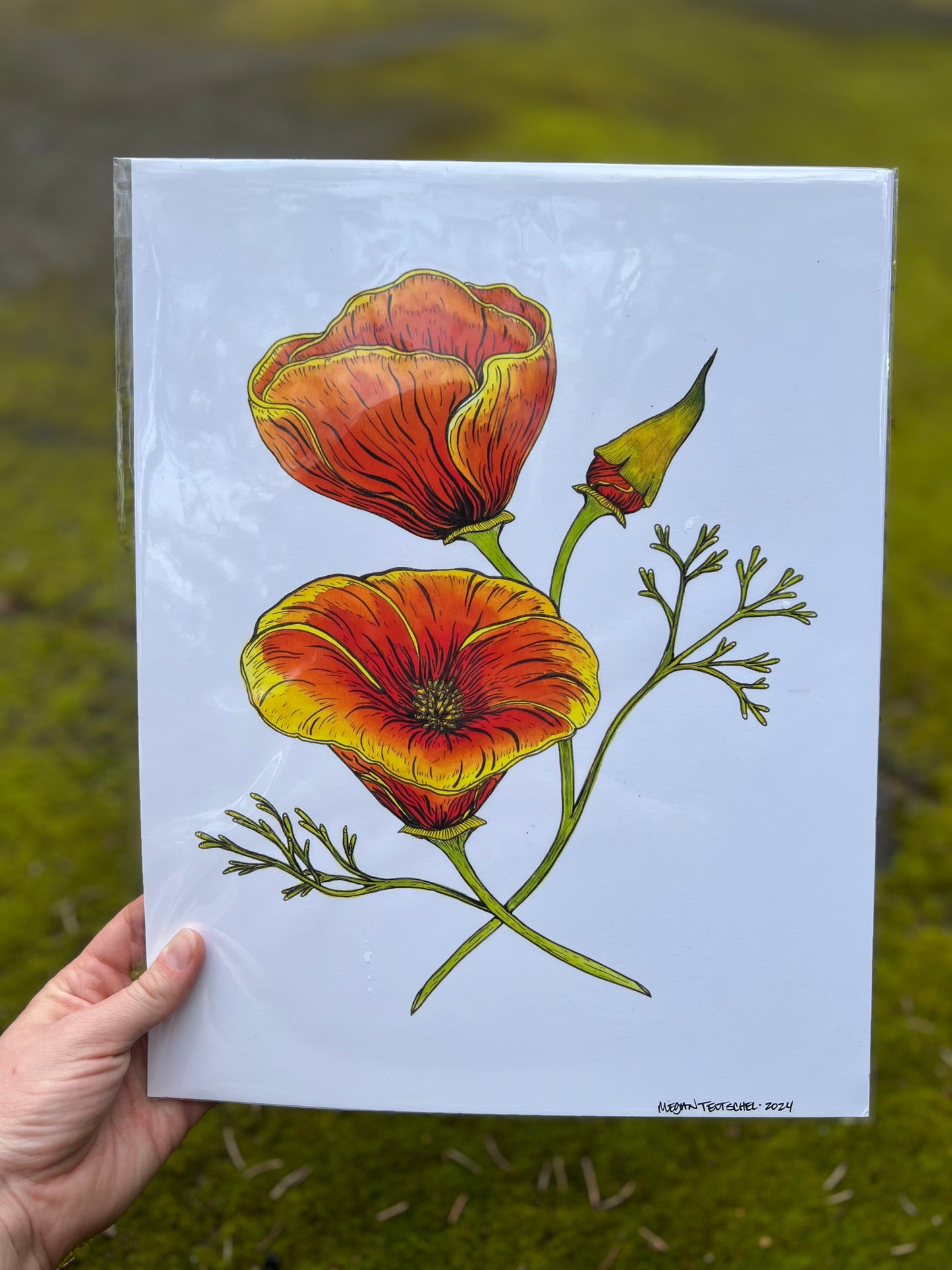 California Poppy Print