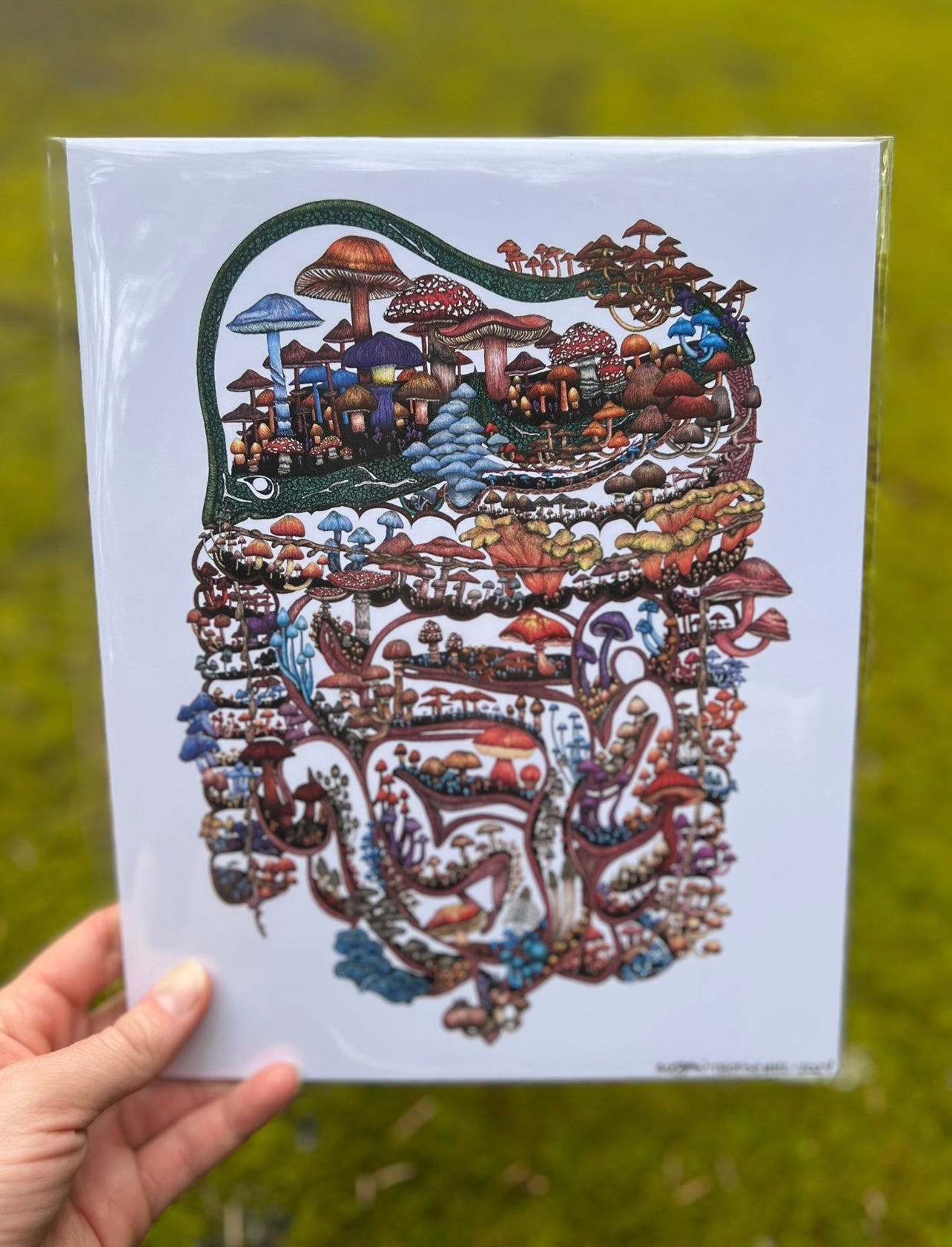 Mushroom Guts (Color) Print
