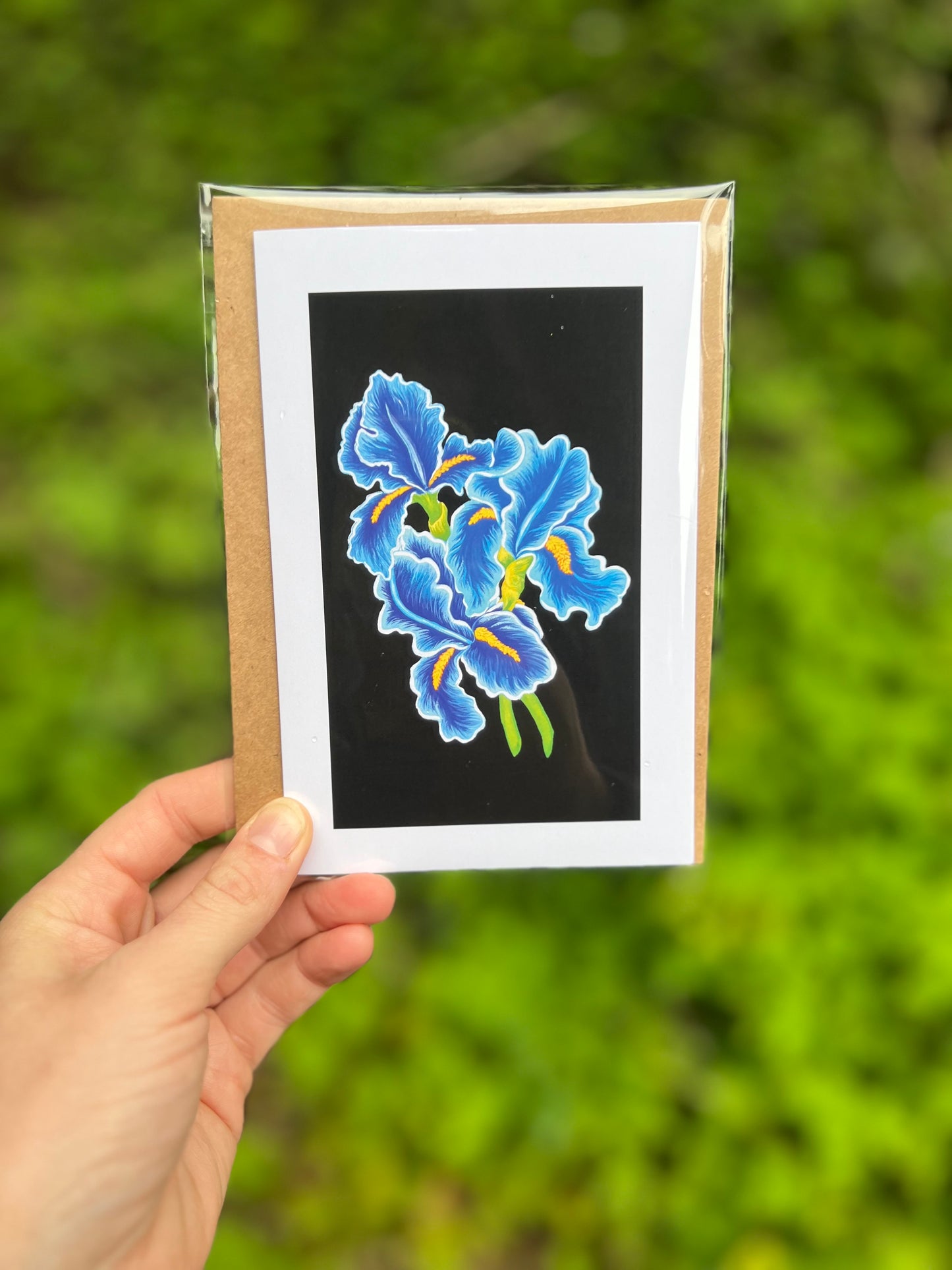 Irises on Black Card