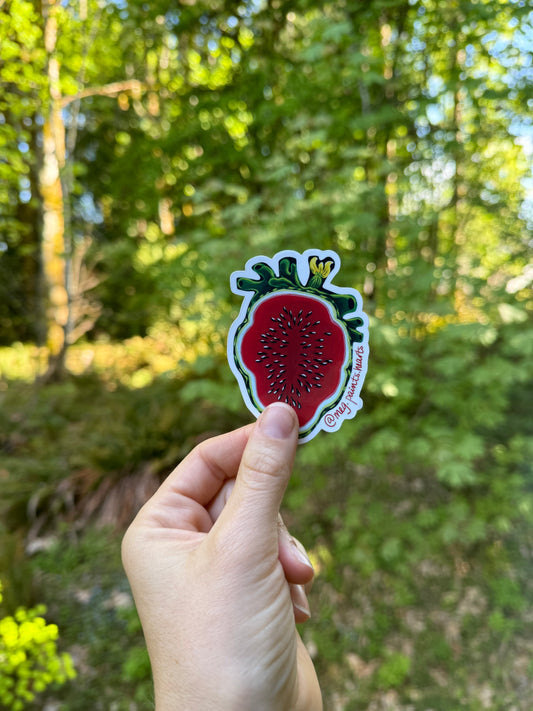 Watermelon Heart Sticker