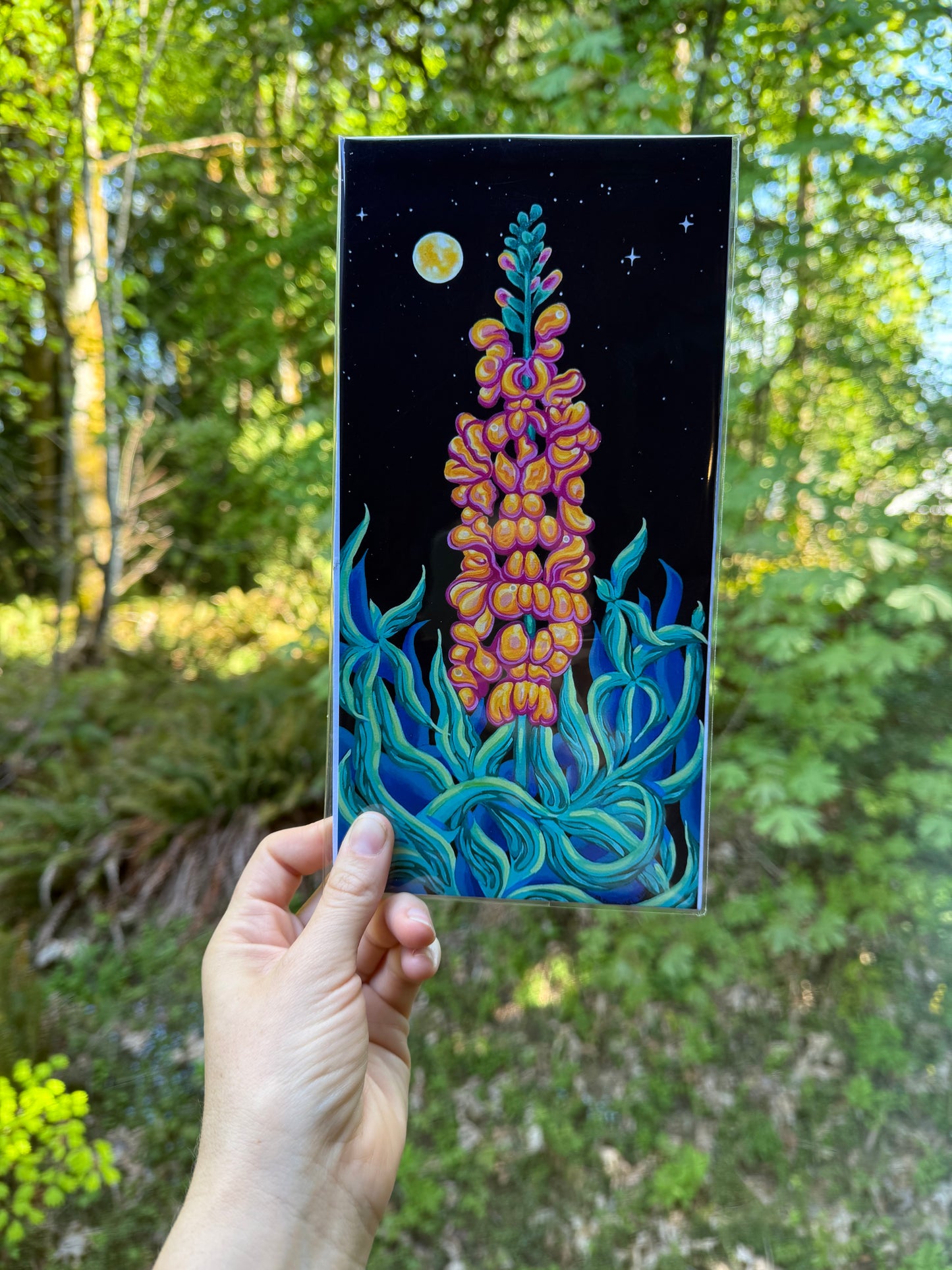 Snapdragon at Midnight Print