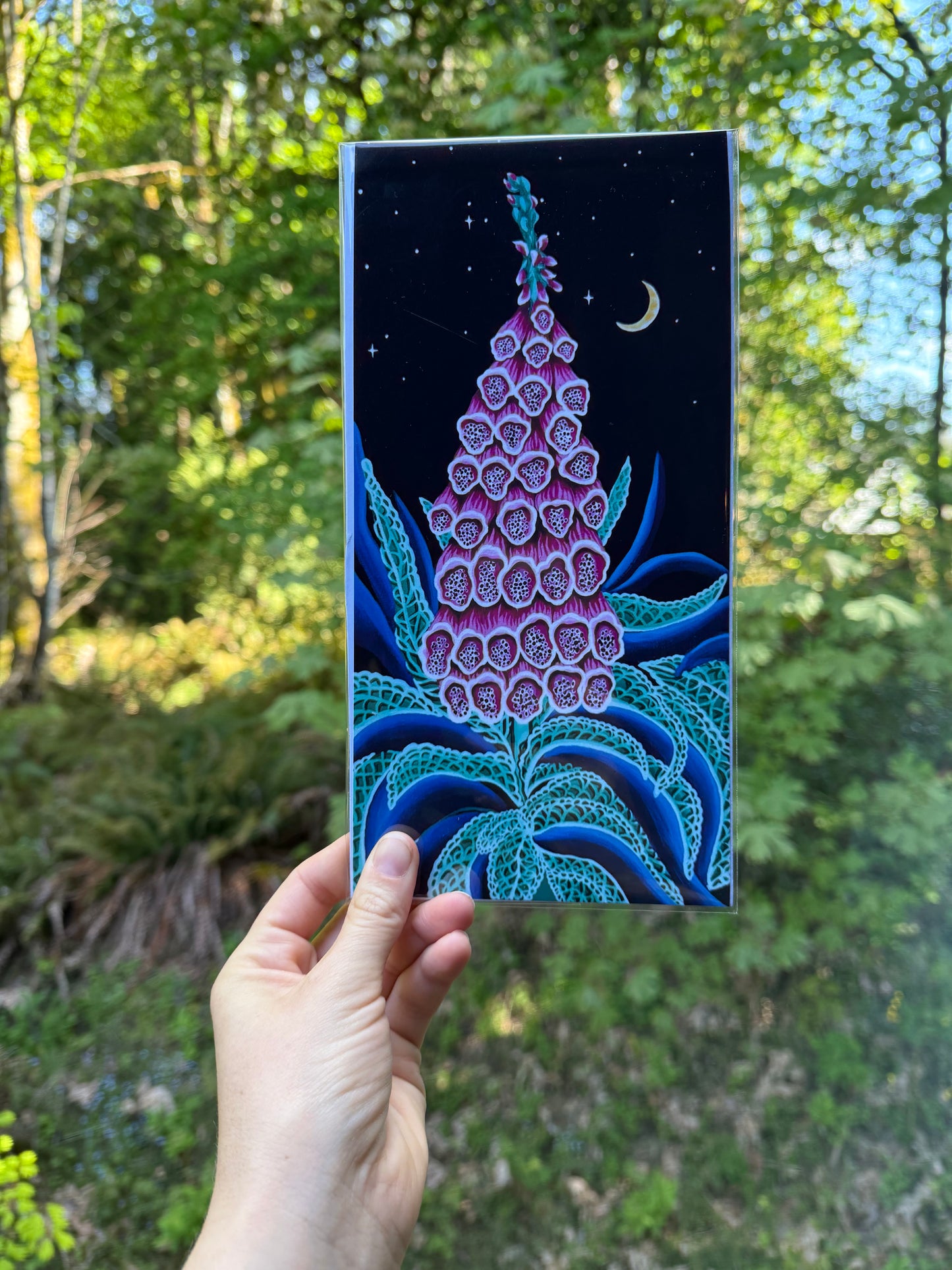 Foxglove at Midnight Print