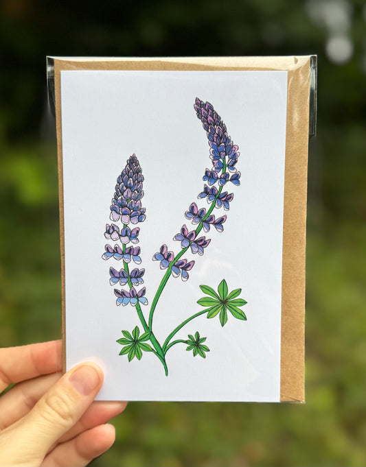 Lupine Card
