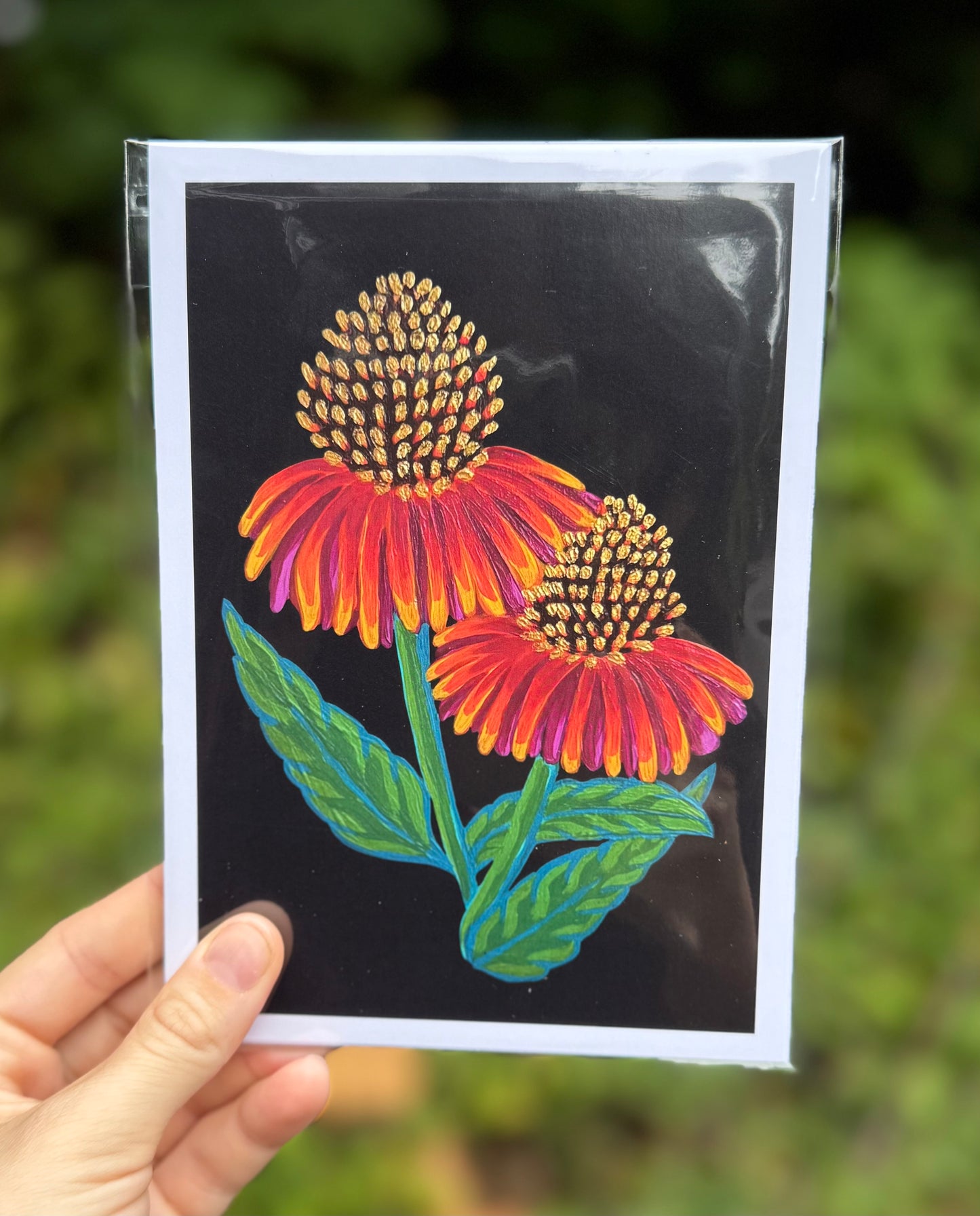 Echinacea on Black Print