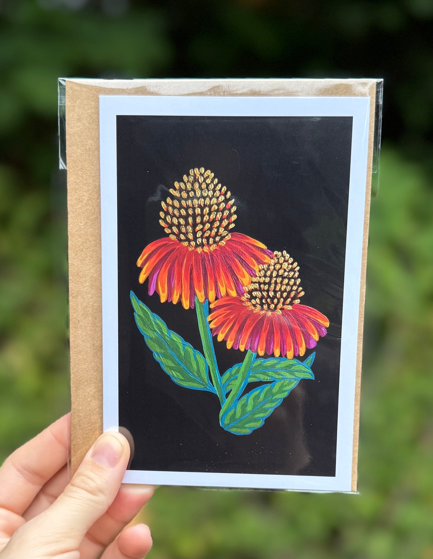 Echinacea on Black Card