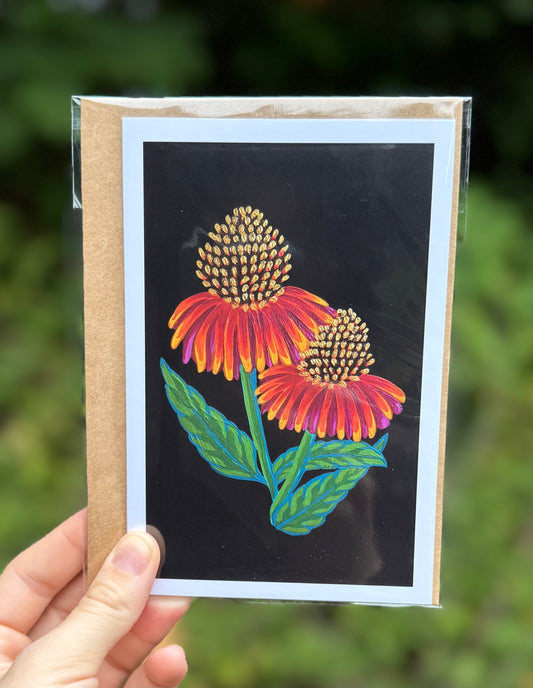 Echinacea on Black Card