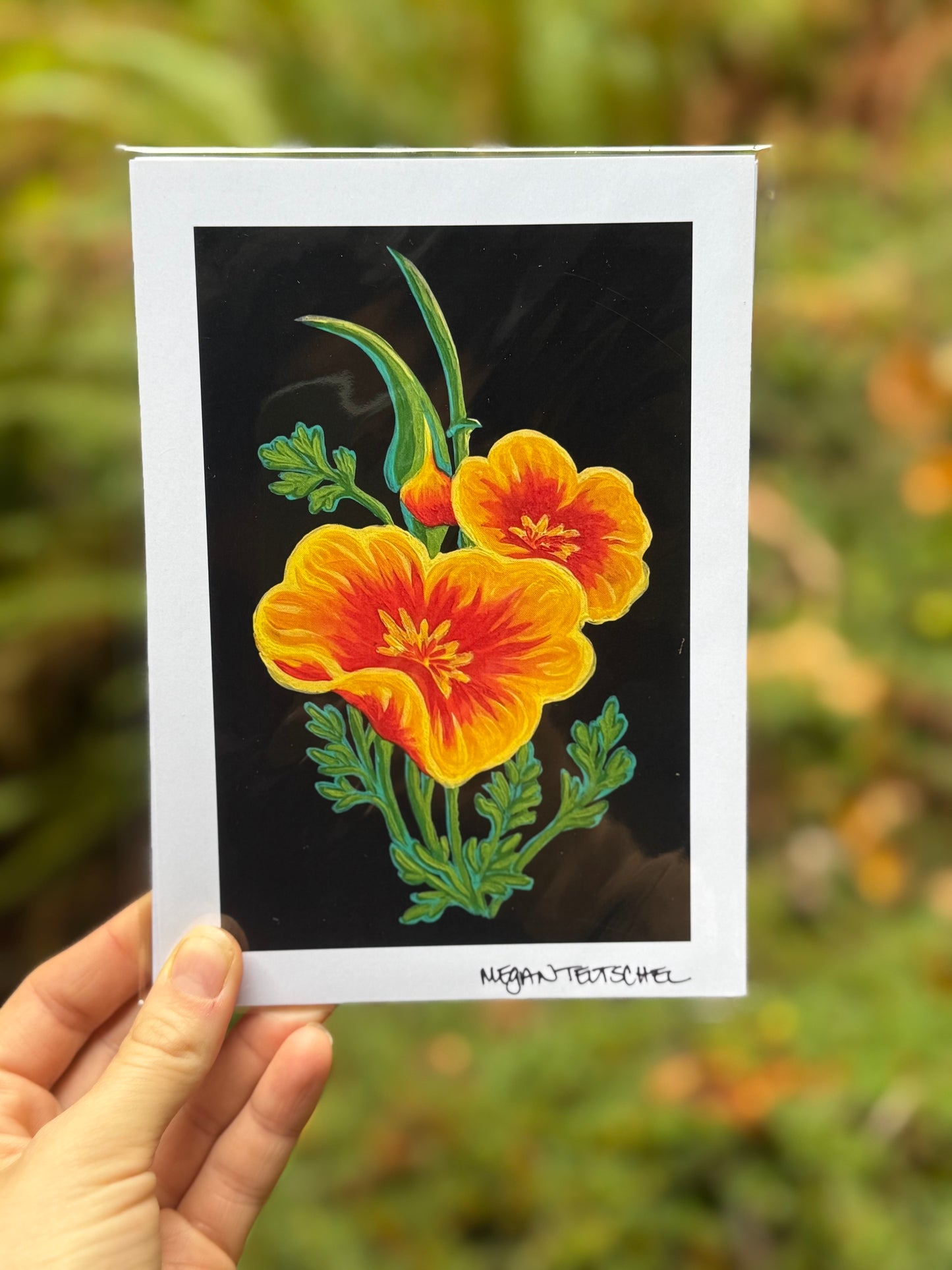 California Poppies on Black Print