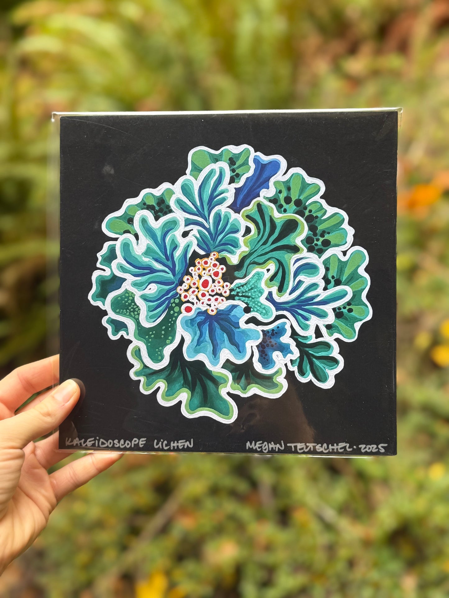 Kaleidoscope Lichen print