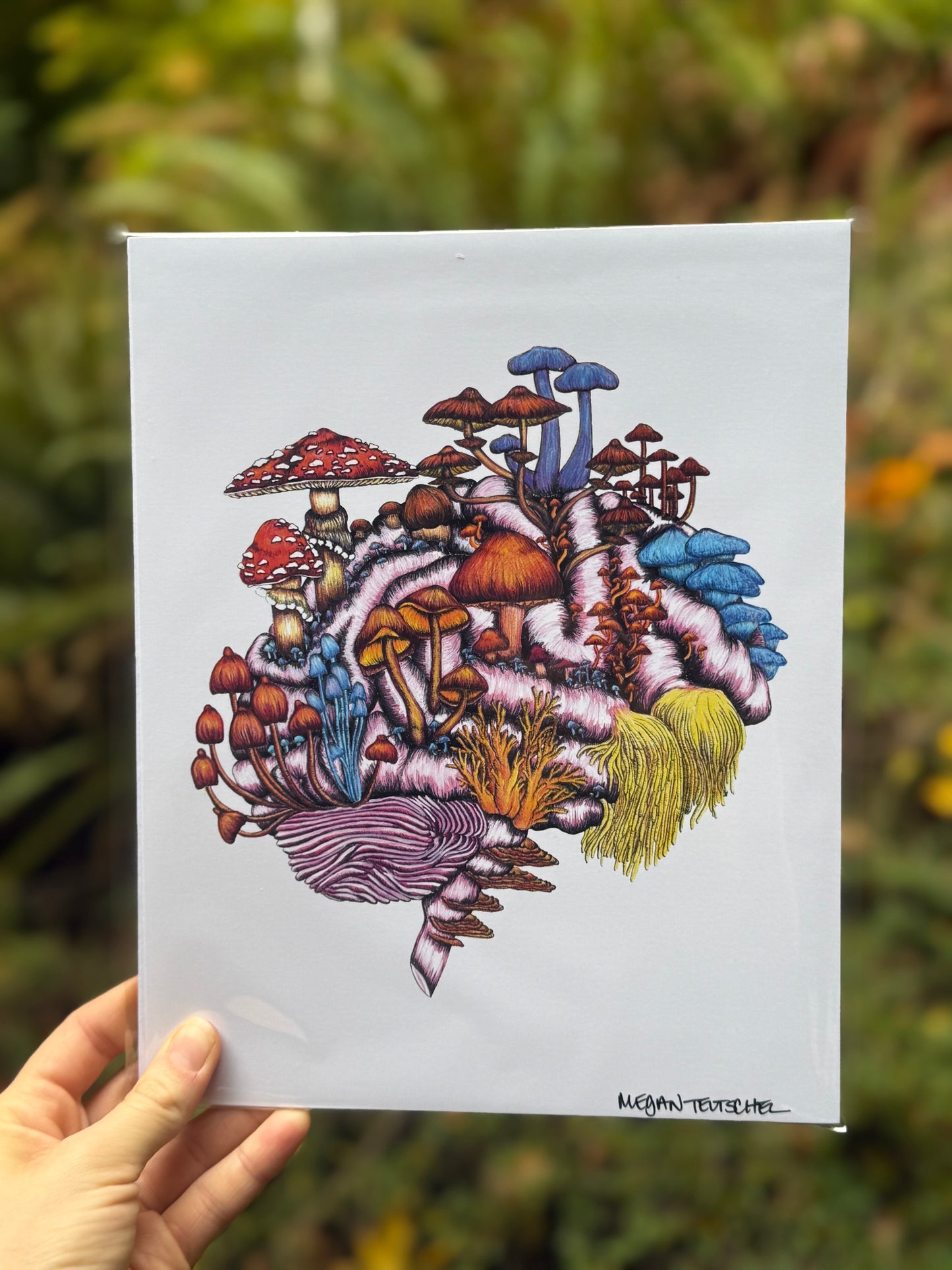 Mushroom Brain in Color Print