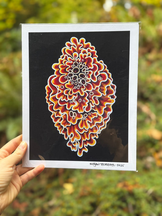 Golden Sunset Shield Lichen Print
