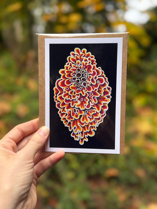 Golden Sunset Shield Lichen Card