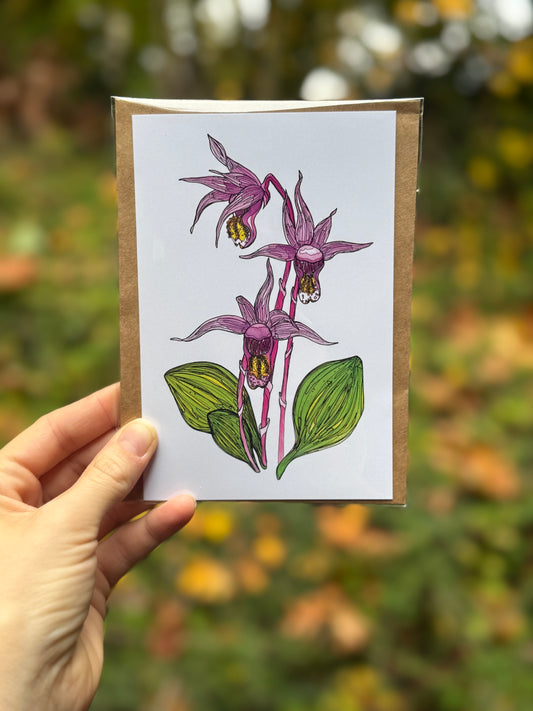 Calypso Orchid Card