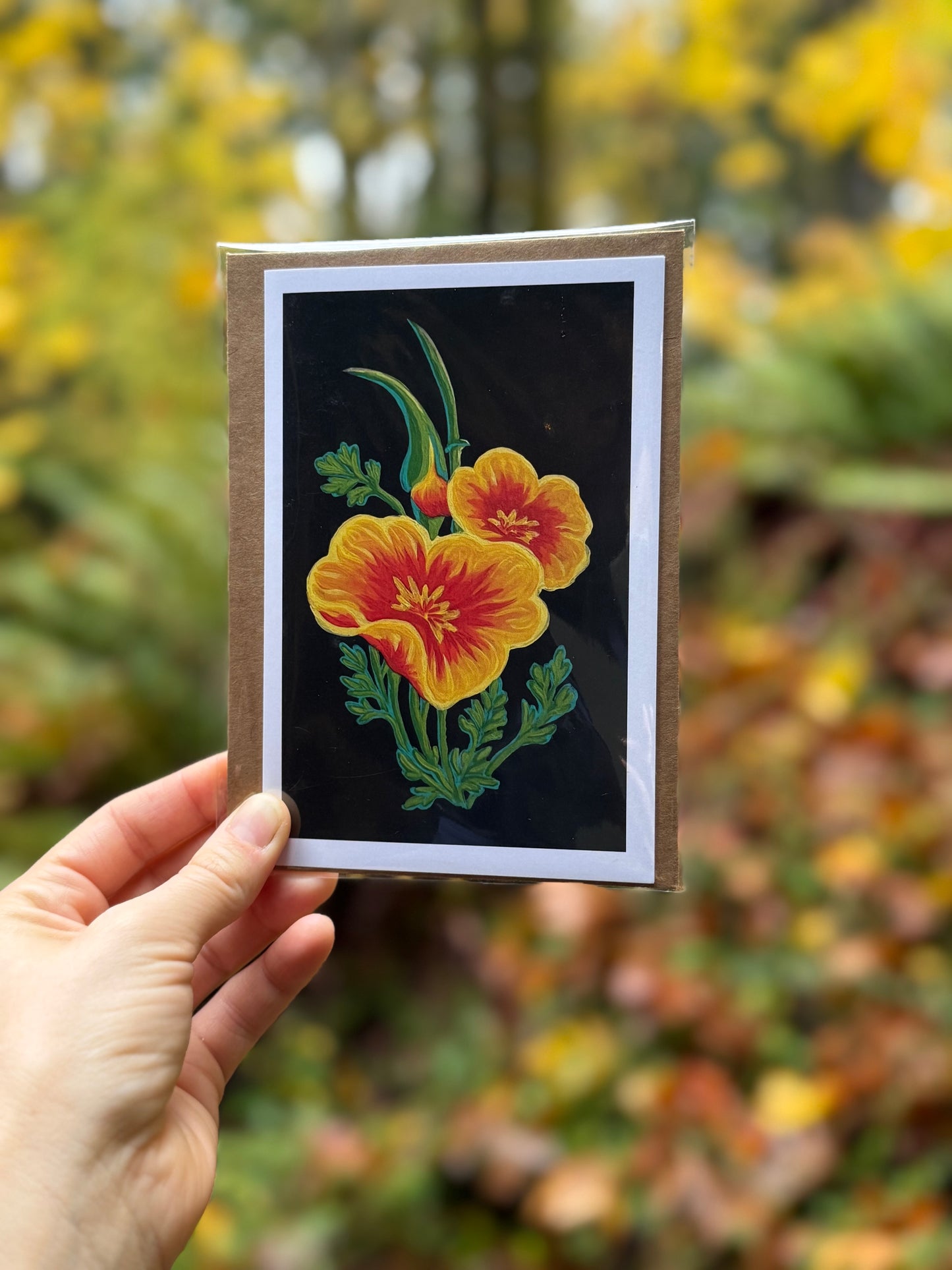 California Poppies on Black Card