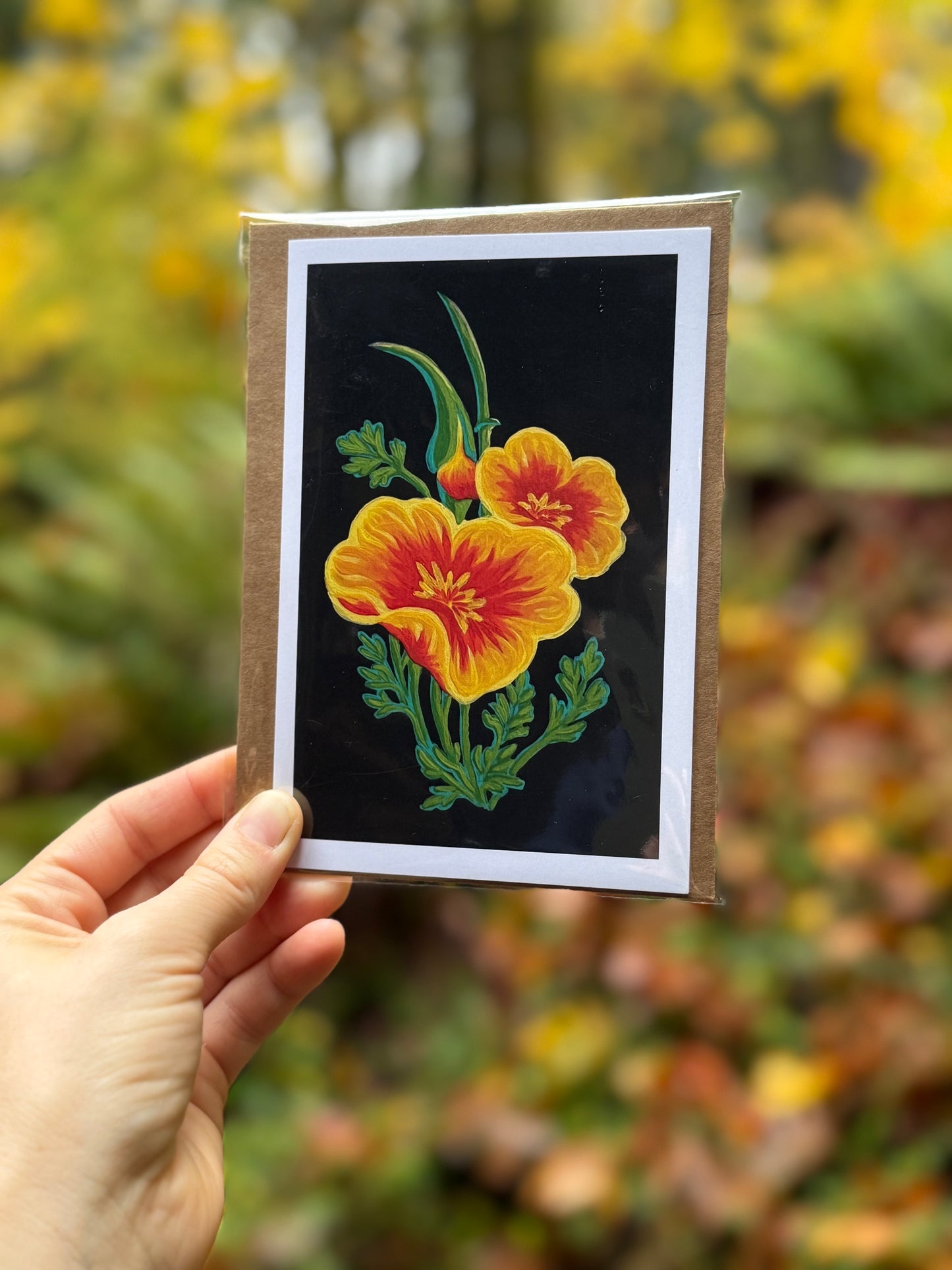 California Poppies on Black Card
