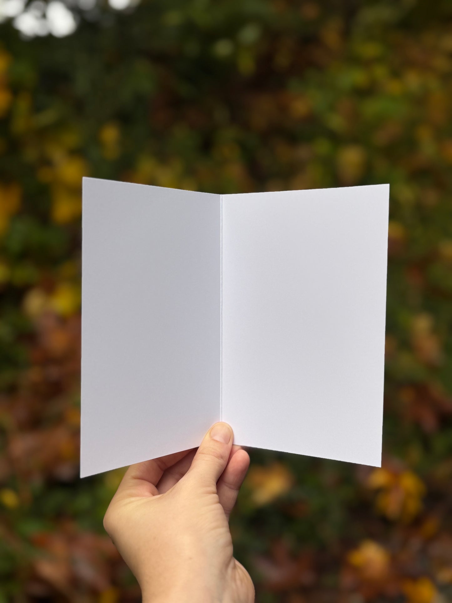 Turquoise Lichen Card