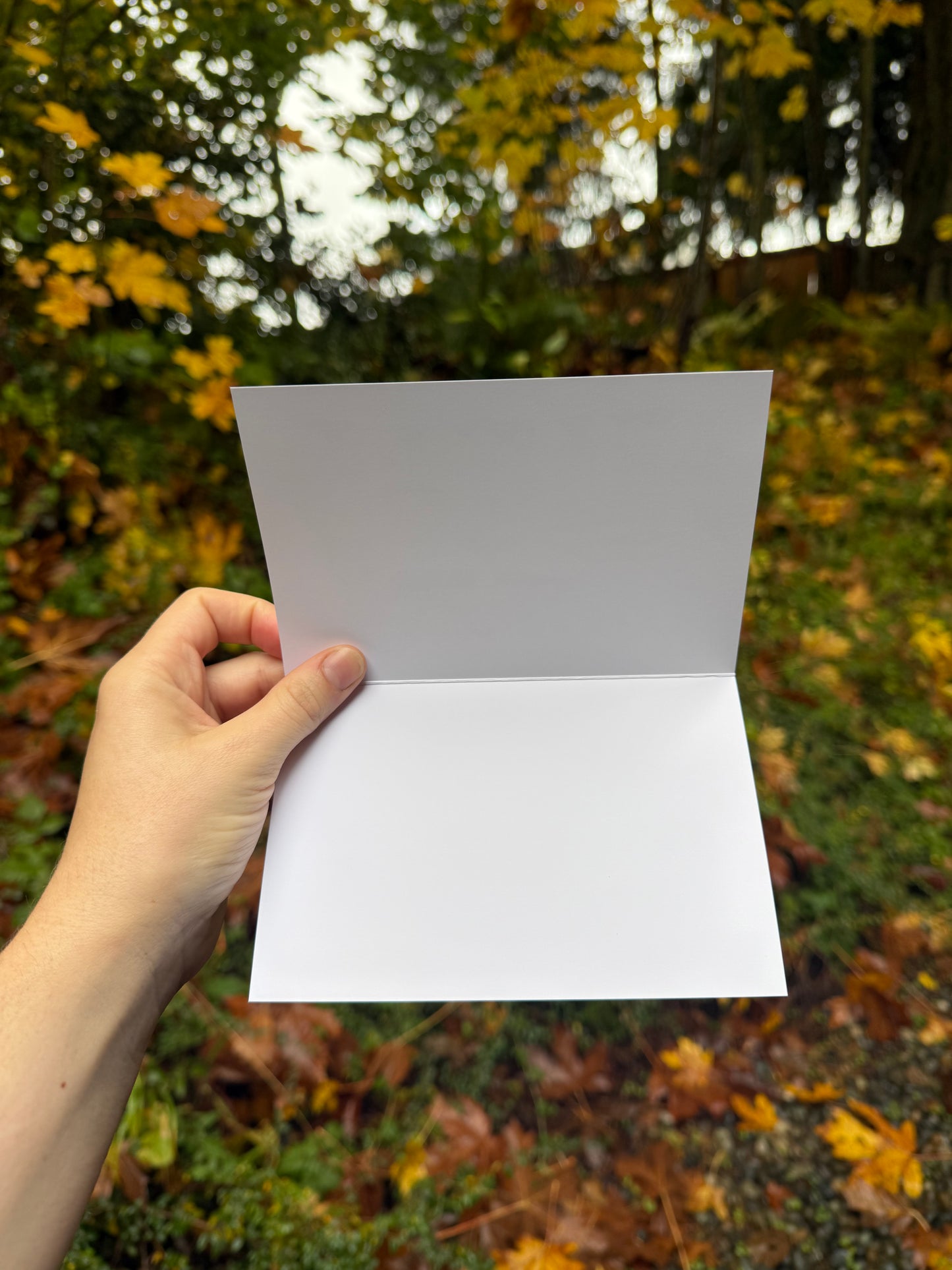 Heart of the Forest Card