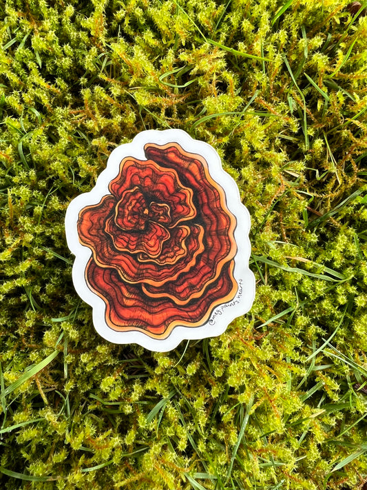 Turkey Tail Sticker