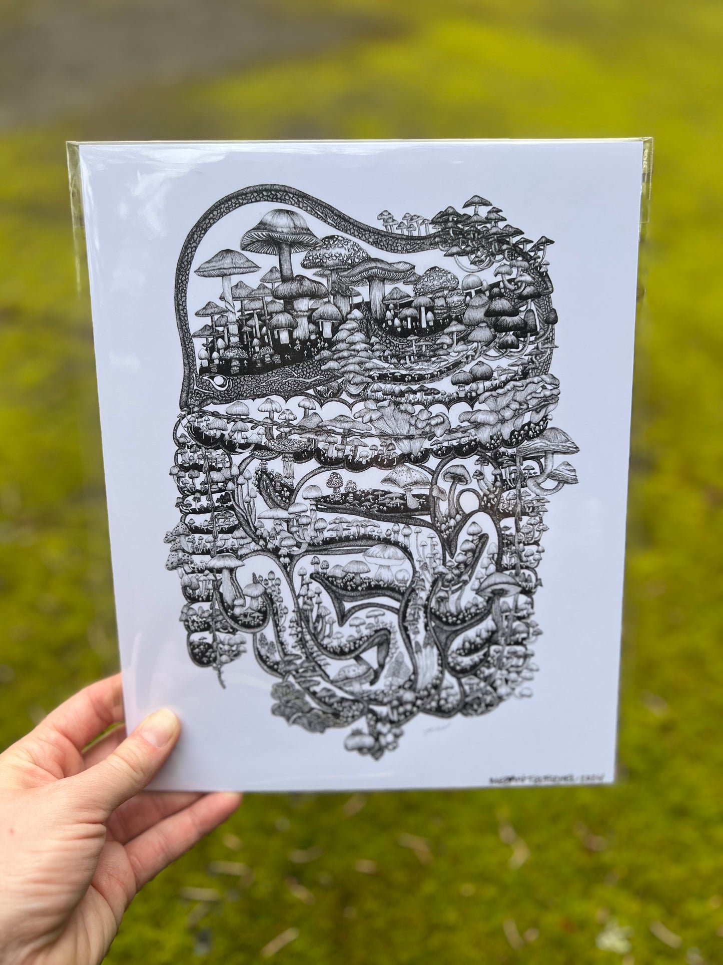 Mushroom Guts (Black and White)