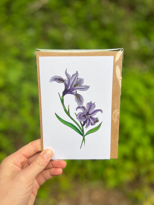 Tough leafed Iris Card