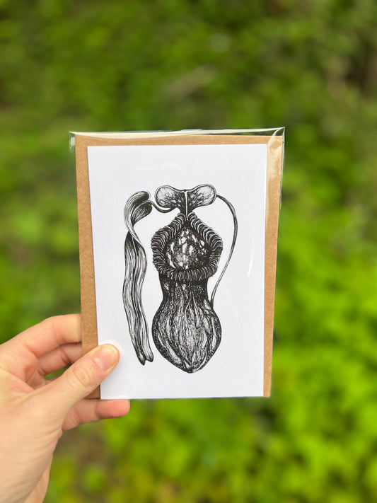 Nepenthes Card
