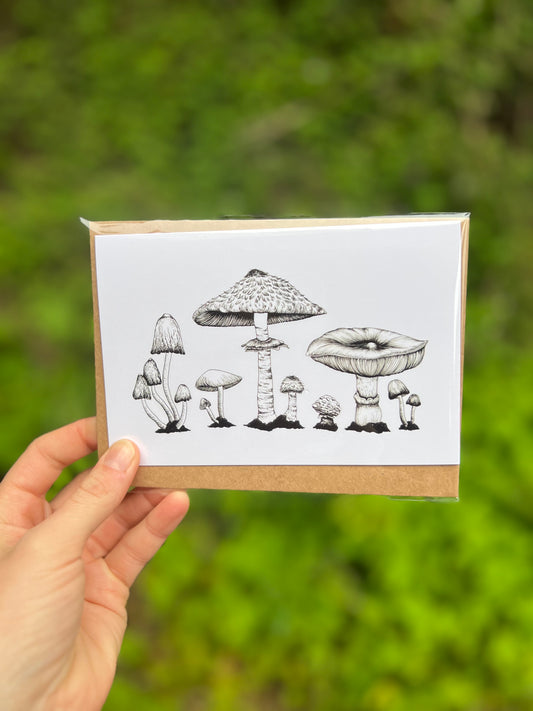 Mushroom Lineup Card