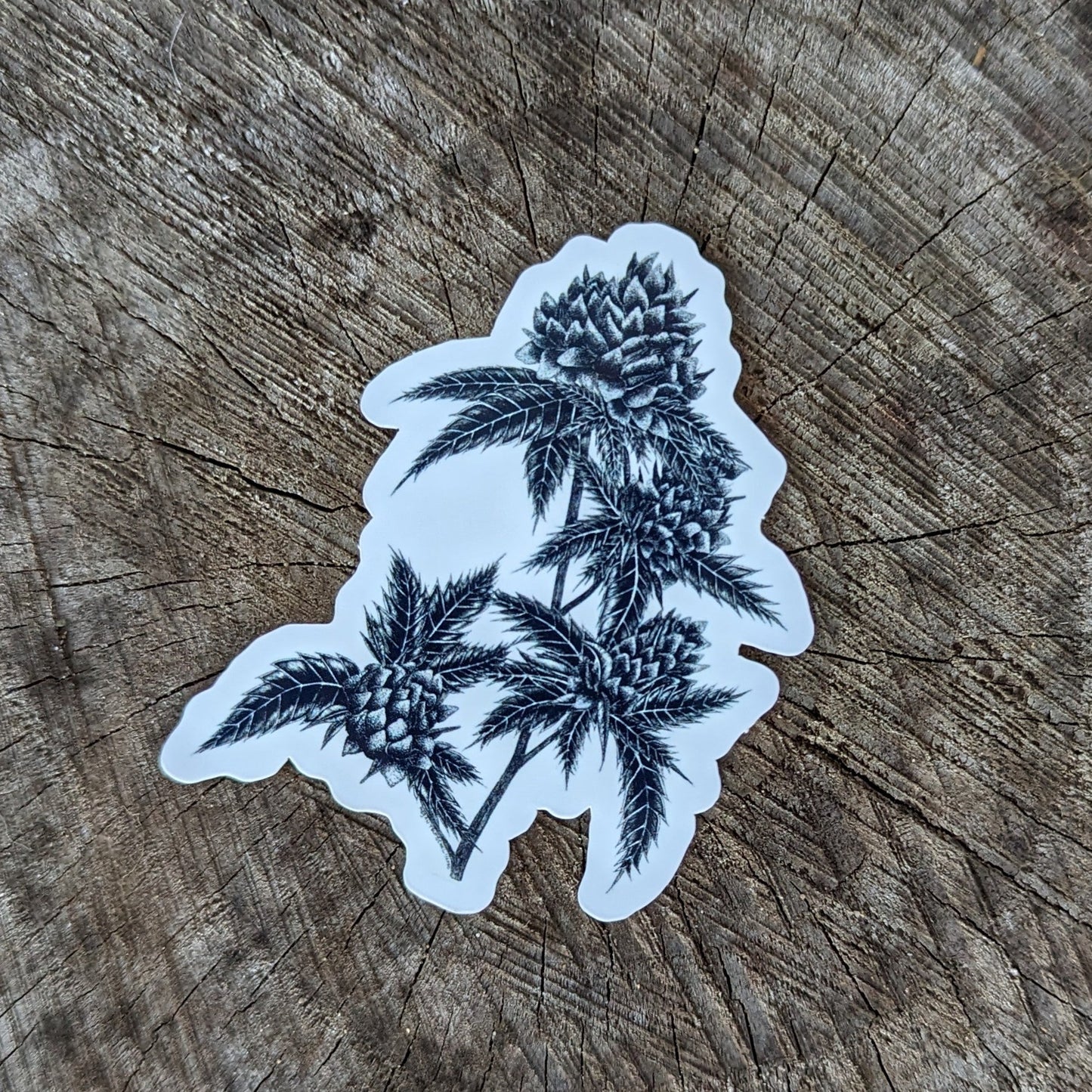 Cannabis (Indica) Sticker